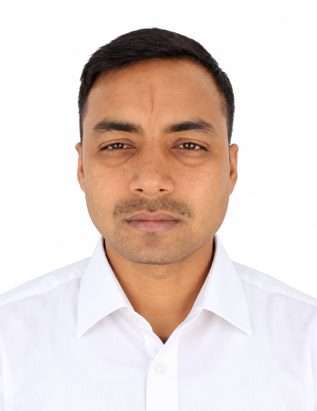 MD JULFIKAR ALI